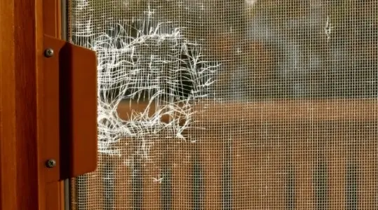 Schermopname_6-11-2025_235657_wwwvliegenraamcom - RDT-concept Het gaas van een vliegenraam of deur beschadigd