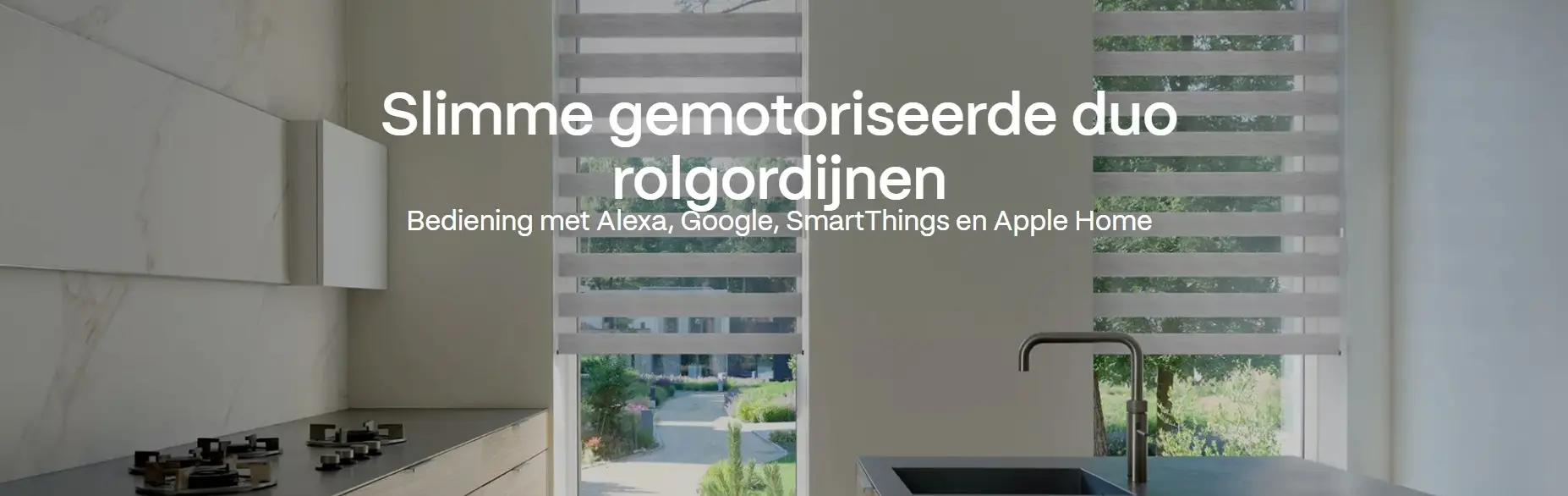 Slimme gemotoriseerde duo rolgordijnen Bediening met Alexa Google SmartThings en Apple Home   RDT concept