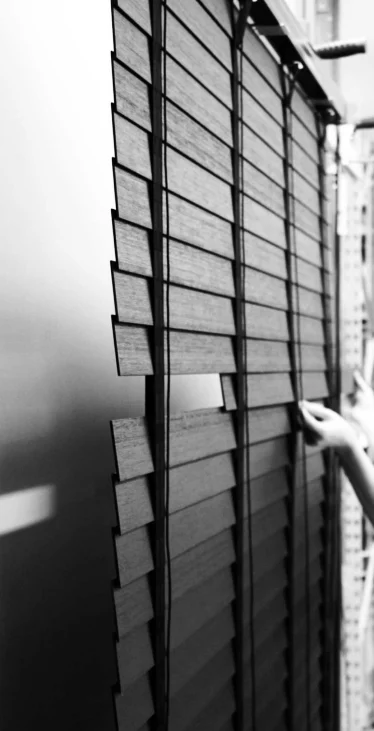 Moderne zwarte houten lamellen voor een industrieel interieur - RDT Concept Raamdecoratie Menen